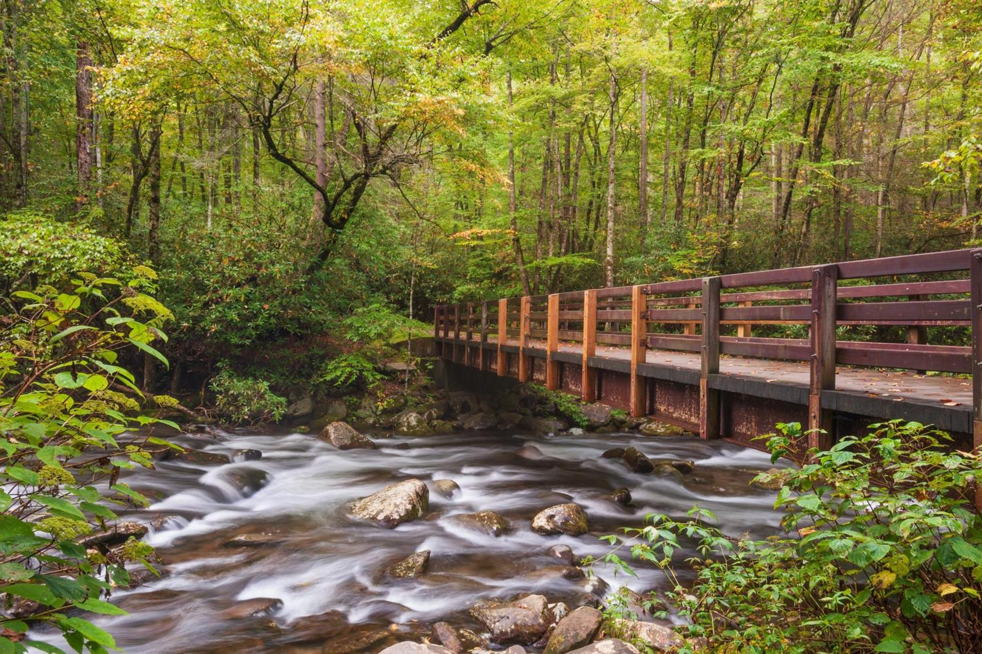 Ober Hideaway, Hot Tub, Wifi, 1089 Free Tickets Each Paid Day, Dollywood And More Gatlinburg Eksteriør billede
